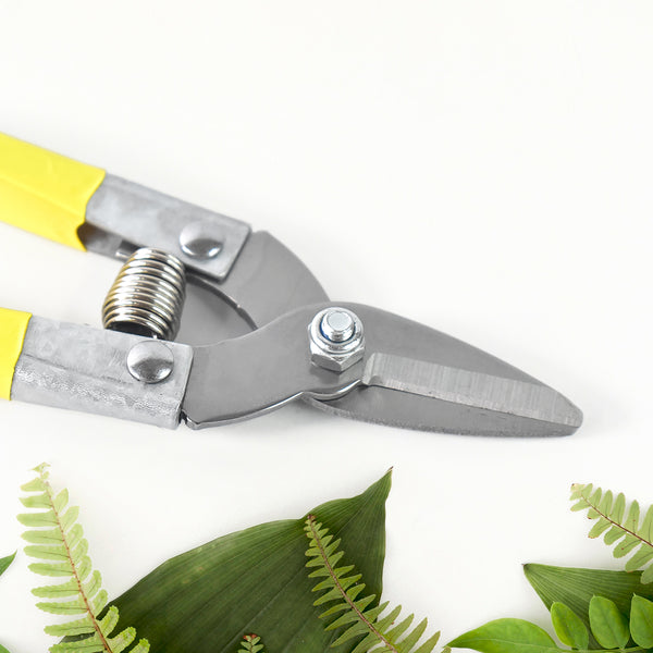 Precision Micro Garden Snip Pruning Scissor (Small)